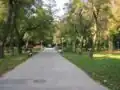 Le « Grand parc » à Palić