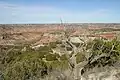Le canyon
