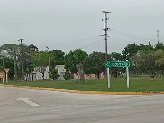 Palo Solo