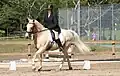 Photo d'un cheval monté sur une reprise de dressage.