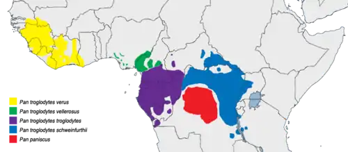 Description de l'image Pan (genus) distribution map.png.