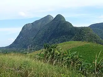 Vue du sommet.