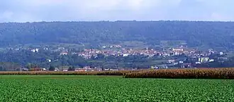 Piverone
