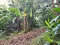 Panneau de croisements du sentier du piton Baille-Argent