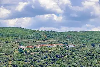 Molinillo
