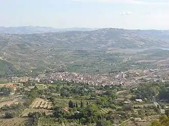 Bivona