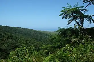 Panorama depuis les Chutes du Carbet, Capesterre-Belle-Eau.