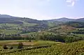 Les vignobles et le village.