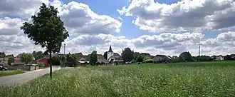 Orbis