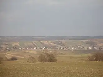 Sady (Lublin)