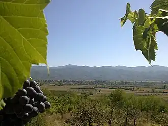 Todorovce