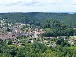Vue sur Bruyères, en arrière-plan les hêtraies-sapinières de la forêt de Faîte autour de 500&nbsp;m d'altitude.