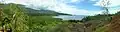 Mangrove de nioumachoua