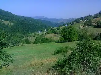 Bare (Sjenica)