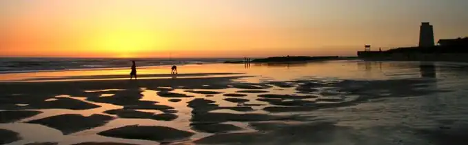 Plage du Palmar