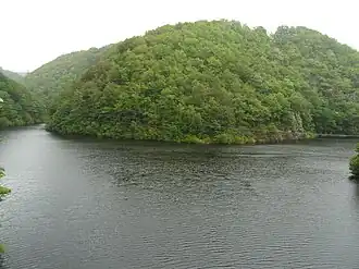 Image illustrative de l’article Lac de Bort-les-Orgues