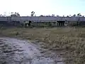 Passage sous les routes pour la panthère de floride (USA).