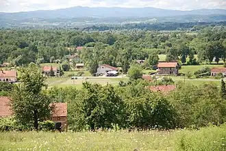 Papažani