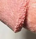 (Détail.)