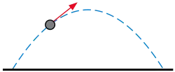 parabolic projectile motion showing velocity vector