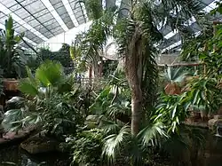Serre subtropicale.