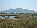 Paraje Natural del Prat de Cabanes-Torreblanca