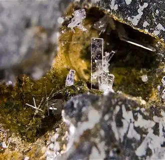 Paralaurionite