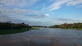 Anamã