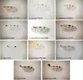 Ailes de Culicoides spp.