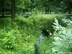Parc Angrignon, calme