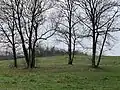 Le parc forestier du Bois de l'Etoile