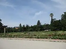 Roseraie .