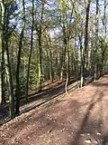 Le parc et, à l'arrière-plan, les immeubles de l'avenue de Messidor