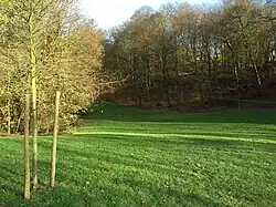 La pelouse