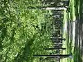 Allée dans le parc La Fontaine.