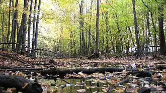 Image illustrative de l’article Parc Michel-Chartrand