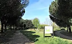 Les allées.