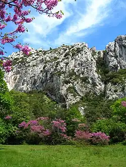 Parc de Saint-Pons.