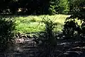 Le parc de Waza