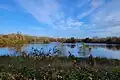 Bassin sud du parc de Lormoy, vallée de l’Orge (Essonne).
