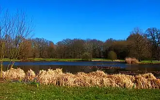 Image illustrative de l’article Parc des Gayeulles