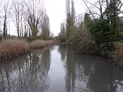 Etang de Tourvoie dans le parc des sports à Fresnes.