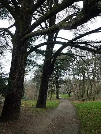 Image illustrative de l’article Parc du Brûlet