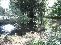 Parc du Château.