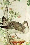 Détail d'une tenture