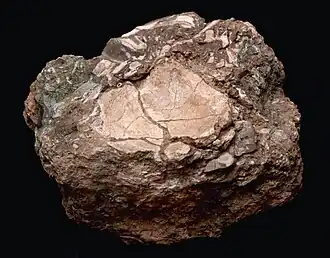 Image illustrative de l’article Grotte de Bolomor