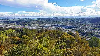 Te Maunga