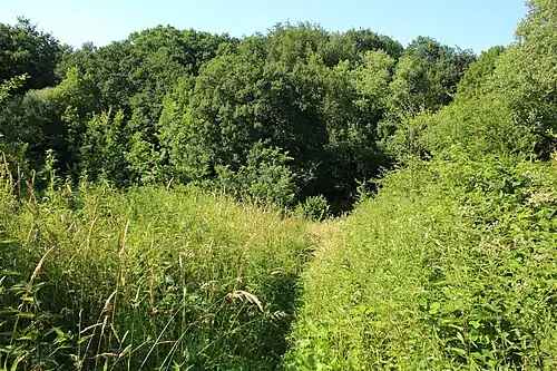 Le GR VA à Parkbos-Uilenbroek&nbsp;(nl)