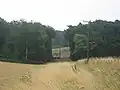 Une partie du terrain