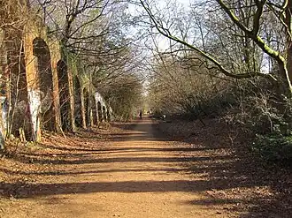 Parklands (Nouvelle-Zélande)